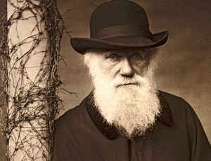 Dzień Darwina